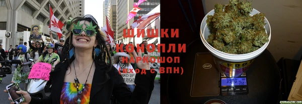эйфоретик Алексин