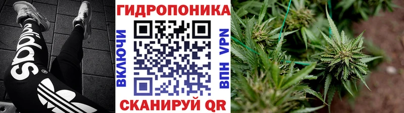 даркнет клад Рошаль Марихуана SATIVA & INDICA купить наркотик